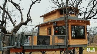 Man Cave Treehouse Reveal  Treehouse Masters [upl. by Zerat]