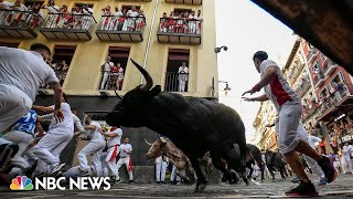 Watch Thousands take part in the running of the bulls in northern Spain [upl. by Rufina]