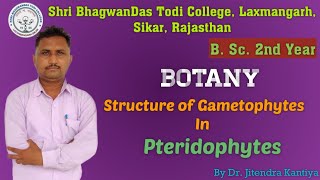 B Sc 2nd Year  Botany  Str of Gametophytes  Dr Jitendra Kantiya Shri BhagwanDas Todi College [upl. by Kcirdot]