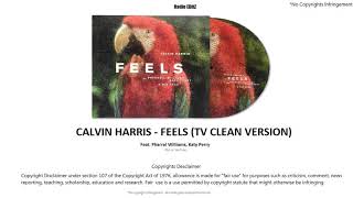 Calvin Harris  Feels TV Clean Version By Radio Editz With Download Link [upl. by Yreved]