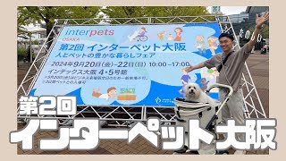 【第2回 インターペット大阪】ペットショップの祭典に行ってきました🐶 買った商品は概要欄で紹介！ [upl. by Grayce]