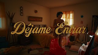 Rauw Alejandro  Déjame Entrar Lyric Video [upl. by Franny]