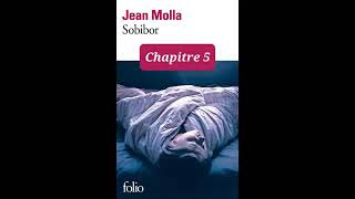 5  Sobibor  livre audio  Chapitre 5  Jean Molla  lecture et résumé [upl. by Llertniuq]