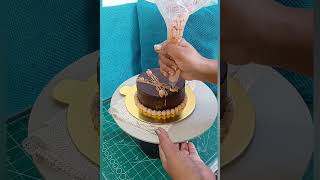 Day3 easy way to make truffle cakereelstrendingshortsvlogsviralvlogs cakemaylakflawlesslab [upl. by Foushee]