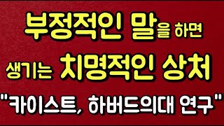 부정적인 말을 하면 생기는 치명적인 상처  말의 힘카이스트 하버드의대 연구 [upl. by Nivek]