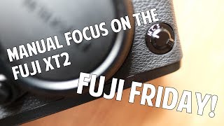 Fuji Friday Manual Focus on the Fuji XT2 [upl. by Ateuqirne104]