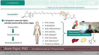 Producción de carotenoides a partir de algas [upl. by Yentrok]