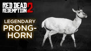 Red Dead Redemption 2  Legendary Pronghorn [upl. by Ahsika699]