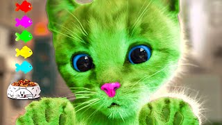 SPECIAL LITTLE KITTEN ADVENTURE LONG VIDEO  KITTEN AND CAT ON A NEW EDUCATIONAL JOURNEY [upl. by Yntruoc]