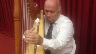 HATIKVA  Paraguayan Harp [upl. by Manouch]