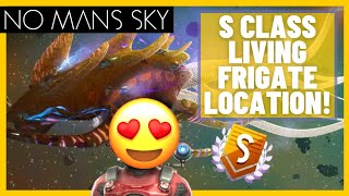 How To Find The Best S Class Living Frigate  No Mans Sky Endurance Update 2022 [upl. by Boyes592]