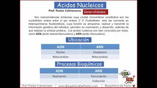 Ácidos Nucleicos generalidades  Ácidos nucleicos parte I [upl. by Hsirehc]