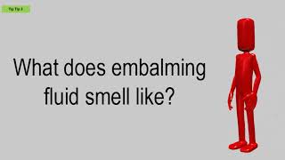 What Does Embalming Fluid Smell Like [upl. by Icart]