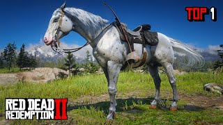 Proper Way To Get The Best amp Fastest Few Spots Appaloosa Horse  RDR 2 [upl. by Blain]