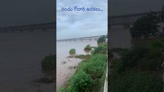 Godavari Rising godavari godavarifloods rajahmundry egdt river [upl. by Mashe451]