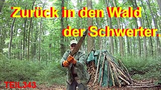 Sondeln mit Sondelandy Zurück im Wald der Schwerter Teil 343 [upl. by Elyac]