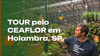 HOLAMBRA e CEAFLOR um TOUR pelo CEAFLOR um mundo de plantas [upl. by Cleodal]