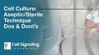 Cell Culture AsepticSterile Technique Dos amp Don’ts  CST Tech Tips [upl. by Nnayllehs]