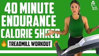 ENDURANCE CALORIE SHRED  40 MIN Treadmill Workout [upl. by Obeded]