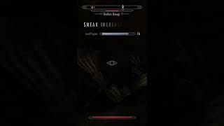 Bro did a whole spin attack gaming skyrimspecialedition skyrim eldenring [upl. by Nnanaej]