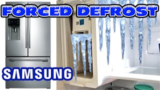 How to Defrost the Ice Maker chamber on Samsung Refrigerators with FORCED DEFROST Mode DIY [upl. by Obara]