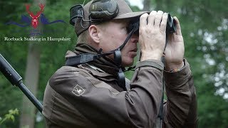 Roebuck Stalking in Hampshire [upl. by Balthazar]