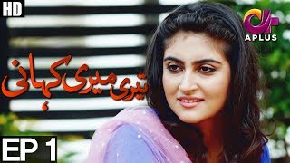 Teri Meri Kahani  EP 1  Aplus  Agha Ali Hiba Qadir Fahad Rehmani  C8A1 [upl. by Ennaerb]