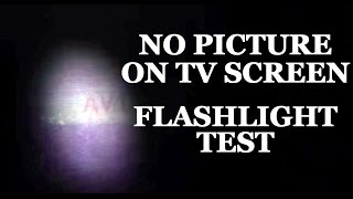 LCD amp LED TV Repair  No Picture No Image amp Blank Black Screen Flashlight Test  Fix LCD amp LED TVs [upl. by Roslyn]