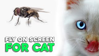 Fly On Screen For Cat 3 Hours [upl. by Pollyanna]