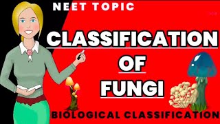 classification of fungi  Class 11 biology ncert NEET [upl. by Katonah]