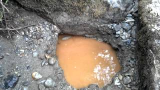 Gold prospecting Pilchuck Crk Washington State [upl. by Liederman442]