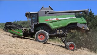 Fendt 5275 C SL Az Agr Flli Ranalli Trebbiatura frumento 2022 [upl. by Chalmer484]