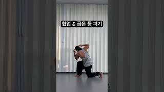 힙업 amp 굽은 등 펴기 Hipup amp Correcting Rounded Shoulders 提臀 amp 矫正驼背 ヒップアップ amp 猫背矯正 [upl. by Chaffin]