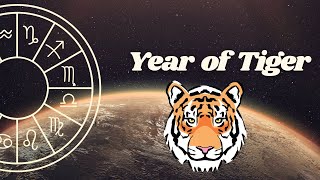 Year of the Tiger Chinese astrology [upl. by Llirred]