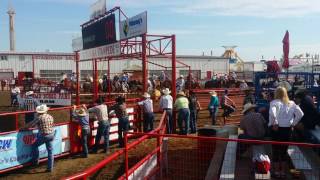 Ponoka Stampede slack June 30 2016 [upl. by Anibla]