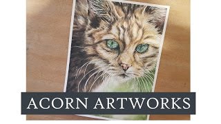 Acorn Artworks  quotQuick Viewquot Cat with Inktense [upl. by Barnett]