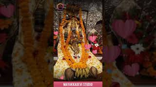 Mayakka devi song mayakka devi Marathi song mayakka devi new status Biroba Raja yallamma devi status [upl. by Rhynd]