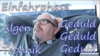 Einfahrphase im Meerwasseraquarium Algen Technik Geduld 5 [upl. by Kursh880]