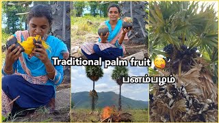 பனம்பழம் சாப்பிட்டு இருக்கீங்களா😃😋 farm fresh palm fruitTraditional village panam palam [upl. by Yllime]