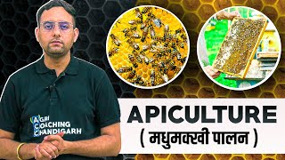 Apiculture  Honeybee Farming  Bee Keeping [upl. by Hollister]