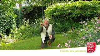 Bayer Jardin TV  Désherber le gazon [upl. by Norby42]