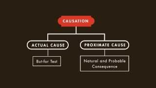 Causation in Law  Criminal Law [upl. by Licko575]