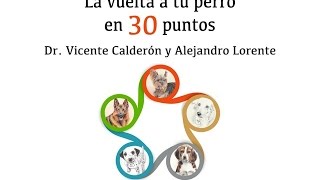 MASAJES PARA PERROS PUNTOS PARA TRATAR HERNIAS DISCALES [upl. by Meesaw]