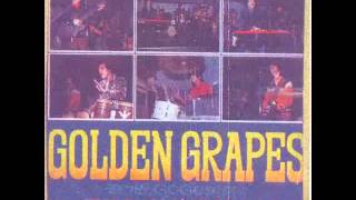 Shin Joong Hyun amp Golden Grapes  quotJquot Blues 72 [upl. by Naiviv180]