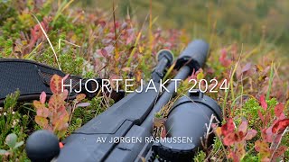 Hjortejakt 2024 vestland [upl. by Kayla]