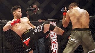 Cung Le  11 Fights  All Strikes  Deadly Strikers  Part 1 [upl. by Cocke]