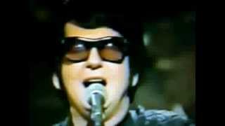 Roy Orbison Crying from SNL [upl. by Lalo467]