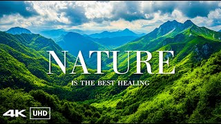 Experience 4K RELAXATION with Peaceful Nature Sounds🌿 [upl. by Nhoj716]