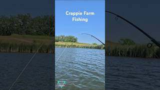 Crappie Farm Fishing GoPro fishing fish goprohero12 gopro outdoors crappie boatfishing [upl. by Domini]