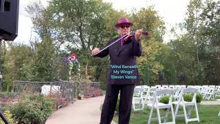 “Wind Beneath My Wings” Electric Violinist Steven Vance [upl. by Foah]